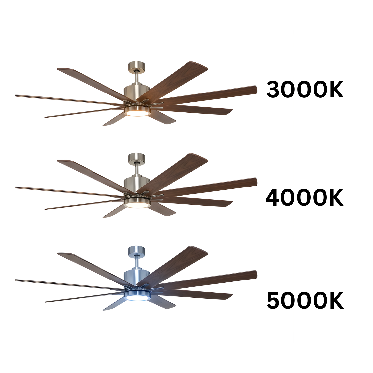 8-Blade 66