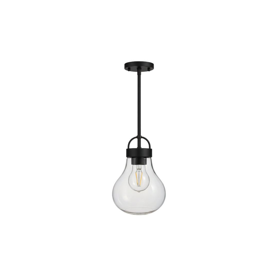 1-Light Clear Glass Pendant